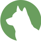 トップ　当院で診療できる動物　犬
